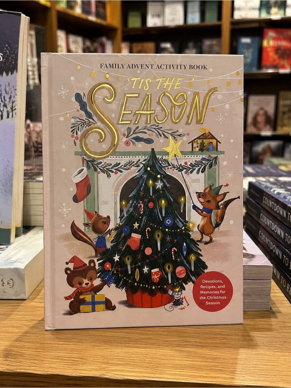 'Tis The Season Family Advent Activity Book